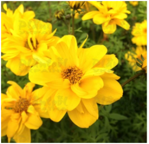 Снимок экрана 2025-10-18 193410